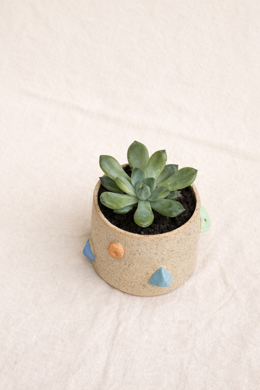 Climbing Plant Pot